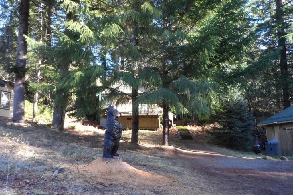 פקווד Hall Creek Cabin מראה חיצוני תמונה