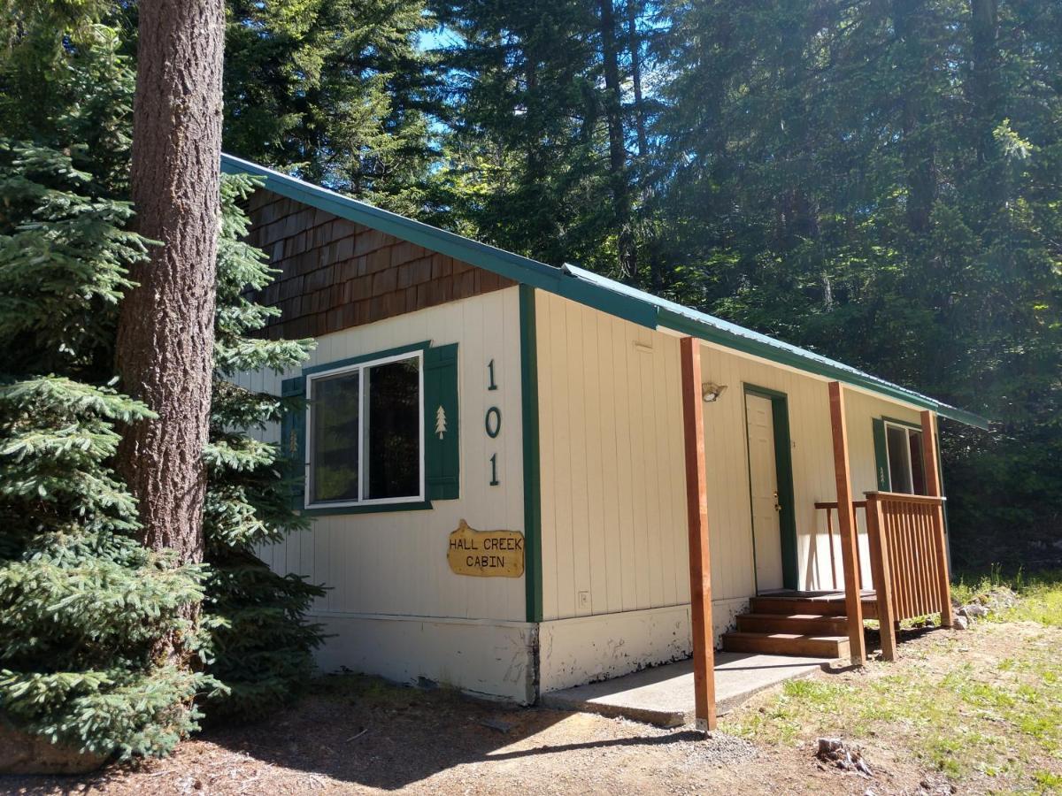 פקווד Hall Creek Cabin מראה חיצוני תמונה